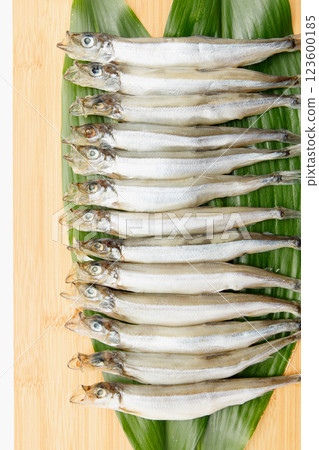 Delicious to eat: Male Sakhalin Shishamo 123600185