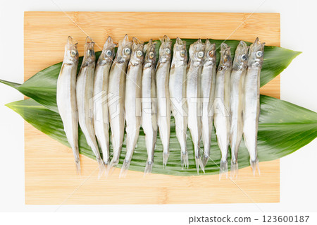 Delicious to eat: Male Sakhalin Shishamo 123600187