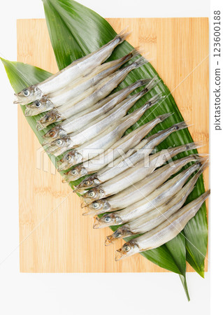 Delicious to eat: Male Sakhalin Shishamo 123600188