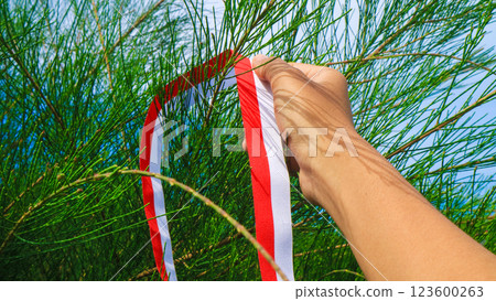 hand holding Ribbon In colors of Indonesia flag red and white, celebrate Indonesia independent day on 17 August with casuarina tree, nature decor hand holding Ribbon In colors of Indonesia flag red and white, celebrate Indonesia independent day on 17 August with casuarina tree, nature decor 123600263