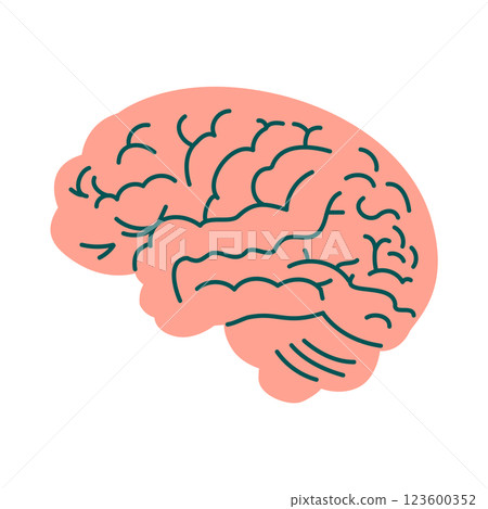 一個簡單的腦子的例證 一個簡單的腦子的例證 123600352