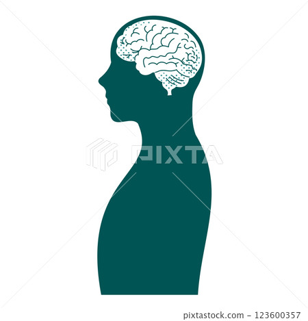 Male brain illustration 123600357