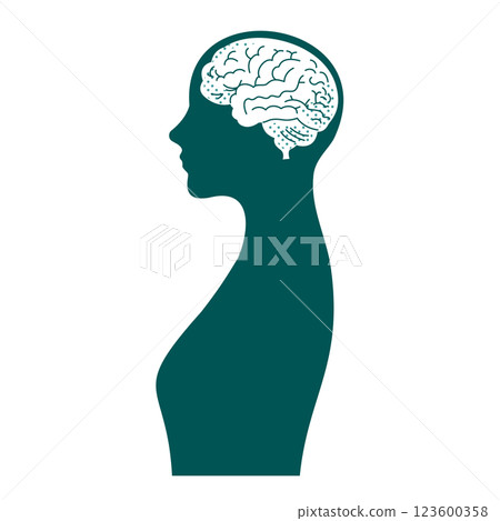 Female brain illustration 123600358