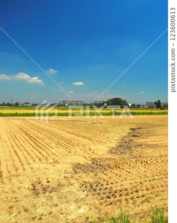Scenery of Kanda in late summer 123600613