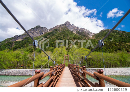 [Fresh greenery in Kamikochi] Mt. Myojin seen from Myojin Bridge 123600859