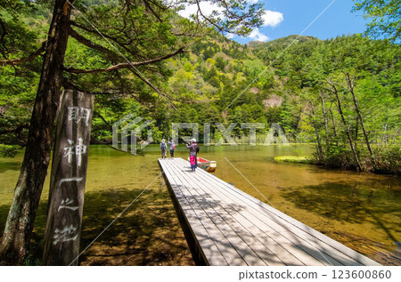 [Kamikochi in early summer] Promenade, boardwalk, Kappa Bridge to Myojin Shrine (Azusa River right bank course) 123600860