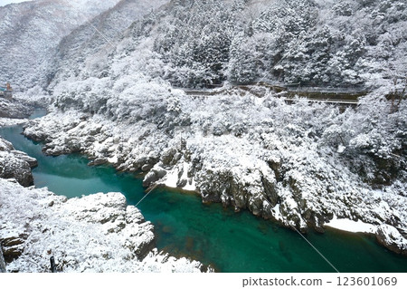 【德島縣】大步危峽的雪花 123601069