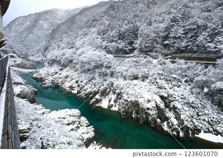 [Tokushima Prefecture] Snow falling in Oboke Gorge 123601070