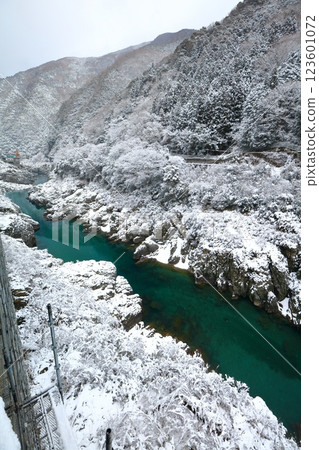 【德島縣】大步危峽的雪花 123601072