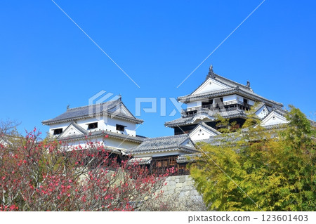 【愛媛郡】初春的松山城與紅梅 【愛媛郡】初春的松山城與紅梅 123601403