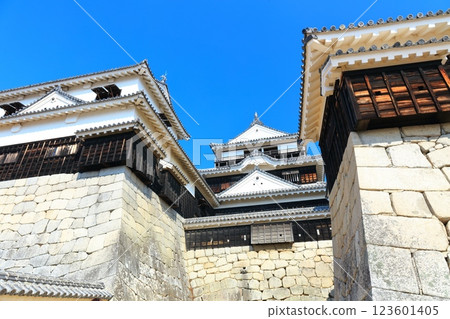 [愛媛縣]晴朗的松山城（主舞台） 123601405