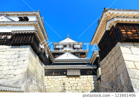 [Ehime Prefecture] Matsuyama Castle in sunny weather (main stage) 123601406
