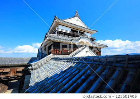 【愛媛郡】晴天的松山城塔 123601409