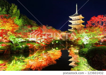 [京都府]東寺紅葉亮起（特別夜景） 123601432