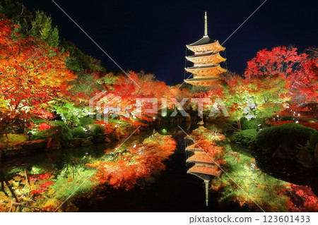 [京都府]東寺紅葉亮起（特別夜景） 123601433