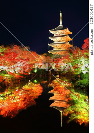 [Kyoto Prefecture] Autumn leaves light up at Toji Temple (special night viewing) 123601437