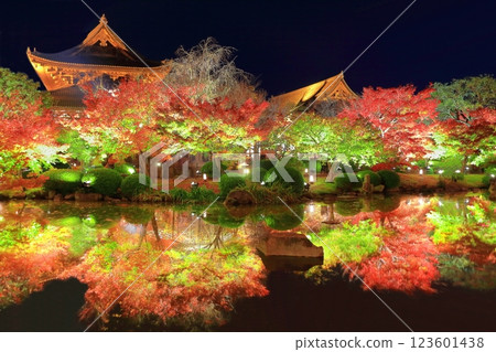 [Kyoto Prefecture] Autumn leaves light up at Toji Temple (special night viewing) 123601438