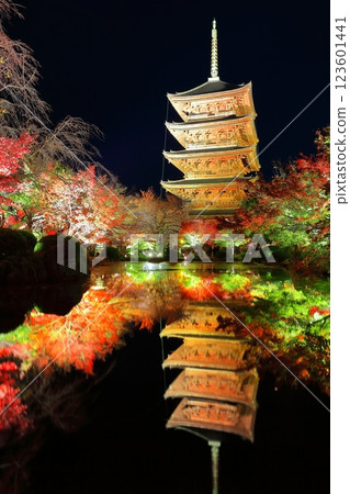 [Kyoto Prefecture] Autumn leaves light up at Toji Temple (special night viewing) 123601441