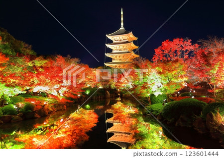 [Kyoto Prefecture] Autumn leaves light up at Toji Temple (special night viewing) 123601444
