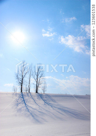 雪山上的格羅夫 雪山上的格羅夫 123601538