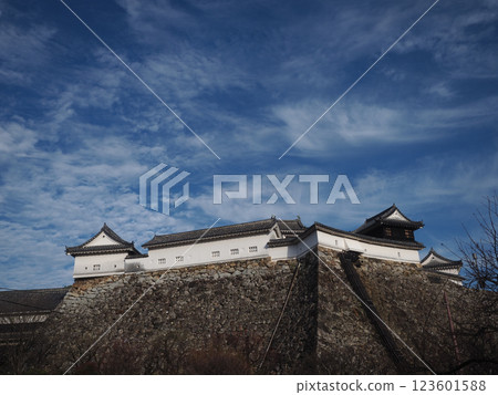 初春的天空與高知城（高知城梅之壇的石牆與白牆） 123601588