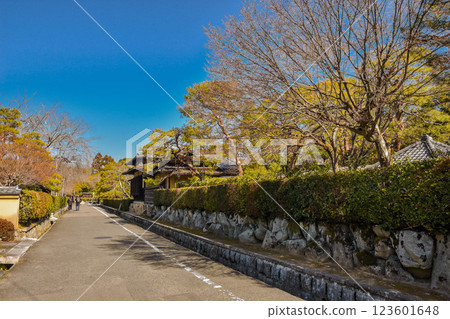 京都市永道町附近的街景 123601648