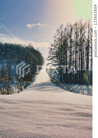 Winter scenery Winter scenery 123601684