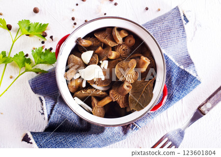 Pickled mushrooms in a metal bowl. Marinated mushrooms with pepper and bay leaf. Pickled mushrooms in a metal bowl. Marinated mushrooms with pepper and bay leaf. 123601804