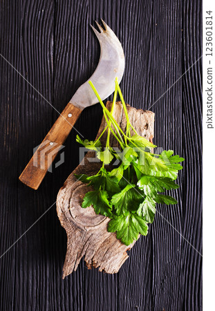 Bunch of the twigs of fresh parsley on a wooden cutting board 123601814