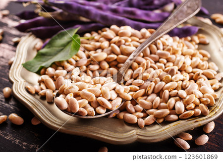 dried beans texture. Food background. Close up. Bean background and textured. Background of bean. 123601869