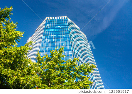 A modern office skyscraper on a clear day next to a green tree 123601917