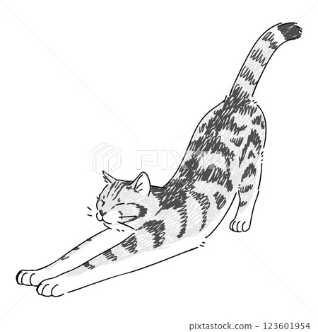 Hand-drawn illustration of a cat stretching 123601954