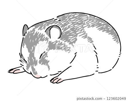 Hand-drawn illustration of a sleeping hamster 123602049