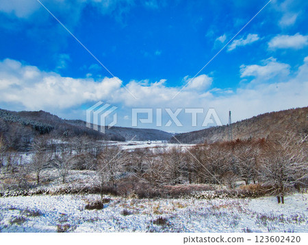 Winter scenery Winter scenery 123602420