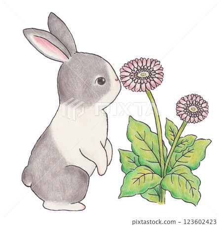 兔子和花圖 兔子和花圖 123602423