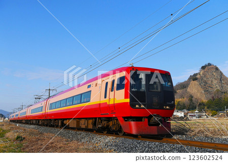 253系列1000系列（東武並行列車） 123602524