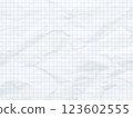 graph paper. seamless pattern. architect millimeter grid. 123602555