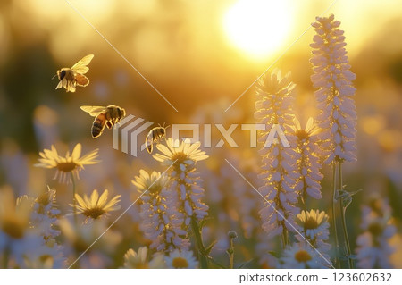 Bee flying over colorful field of wildflowers in bright natural environment 123602632