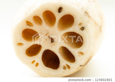 Image of a lotus root cross section on white background Image of a lotus root cross section on white background 123602801