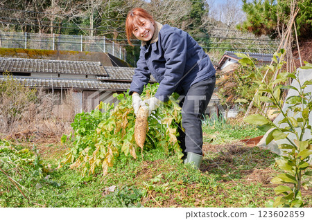 Woman working in the fields, country life, home garden 123602859