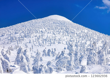 Ice-covered trees on snow-capped Mt. Hakkoda 123602936