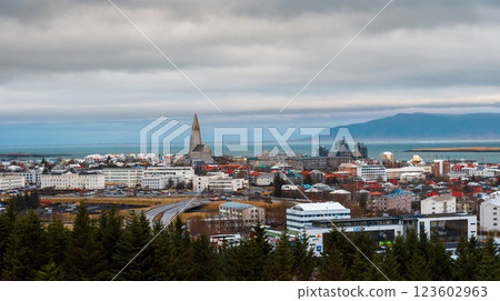 Landmark View of Reykjavik from the Observatory, Iceland 123602963