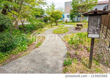 One of the 100 famous springs in Japan: Rokugo Springs, Yamada Family Springs, Spring Walk 123603068