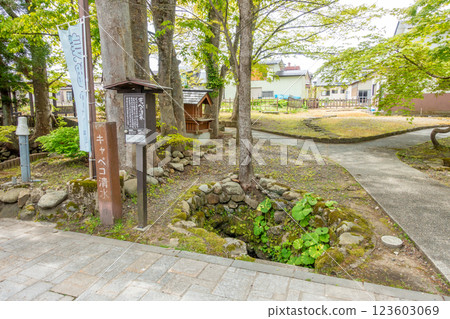One of Japan's 100 Best Springs: Rokugo Springs, Kyapeko Shimizu, Spring Walk 123603069