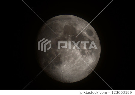 Bright moon in darkness revealing distinct maria and crater patterns Bright moon in darkness revealing distinct maria and crater patterns 123603199