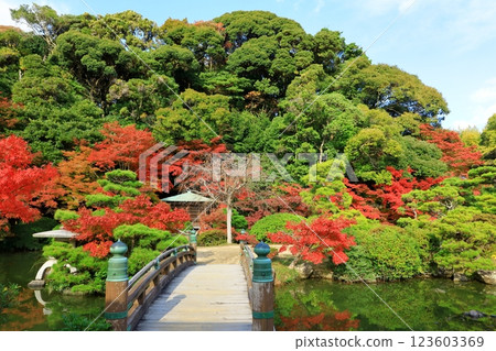 調布園:秋葉 調布園:秋葉 123603369