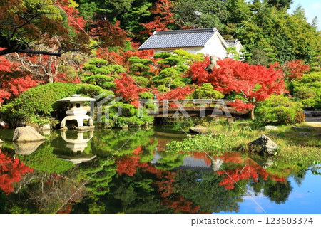 Chofu Garden: Autumn leaves 123603374