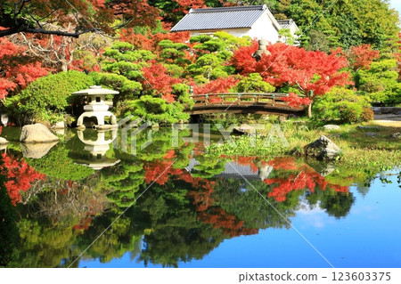 Chofu Garden: Autumn leaves 123603375