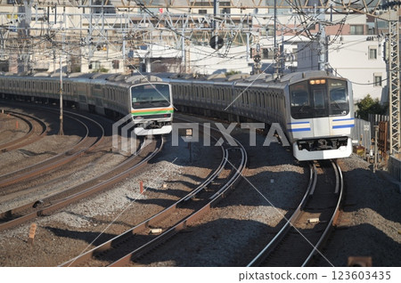 Yokosuka Line E217 Series and Tokaido Line E231 Series 2021 123603435