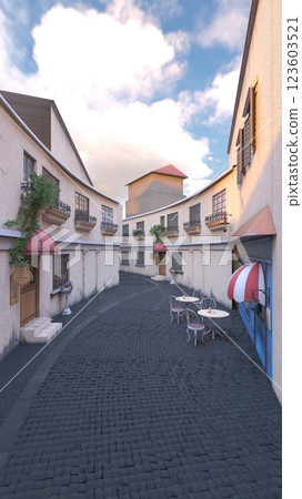 A city with cobblestones 123603521